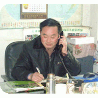 桃樹毛苗，嫁接苗