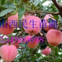 2-8公分；桃樹.山桃樹.蘋果樹.杏樹.梨樹