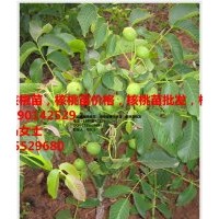 要想種的好，就選四川久億，四川久億有保障