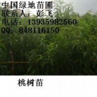 供應桃樹苗=桃樹苗=桃樹苗=桃樹苗=桃樹苗價格