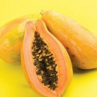 木瓜樹(shù)苗