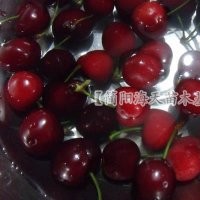 5、車厘子樹苗價格，車厘子苗品種，車厘子樹苗批發