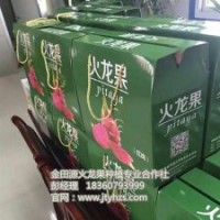 金田源火龍果苗頗享盛譽|火龍果苗|火龍果苗批發價