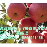 出售采摘園果木，葡萄，草莓，梨，蘋果，桃，杏等果樹苗木，價格