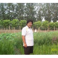 山東水生植物種植銷售