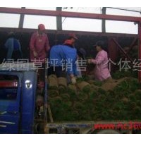 成型草坪銷售 成型草坪供應