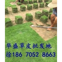 貴州銅仁馬尼拉草坪價格