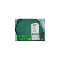 供應進口草種子 草坪 高羊茅 黑麥草 狗牙根 全國批發草種