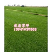 遼陽燈塔哪有買別墅開發區草坪