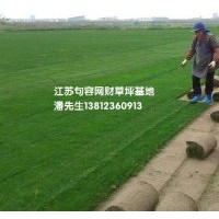 供應百慕大草坪，馬尼拉草坪，混播草坪，果嶺草
