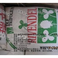 河北晶然草種銷售中心供應白三葉草種，紅三葉草種，雜三葉草種