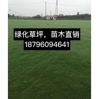 百慕大草坪，馬尼拉草坪，草坪價格優惠電18796094641