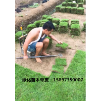 臺灣請草皮