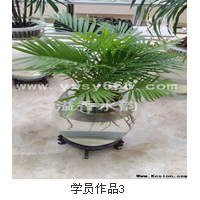 水培花|水培花培訓技術|水培花培訓基地