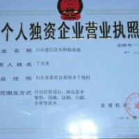 建民苗木供應(yīng) 國槐 優(yōu)質(zhì)量國槐