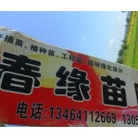 丁香.連翹.水蠟.衛矛.塘棋.三角楓.梧桐.錦帶