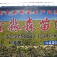 五角楓 山丁子 梓樹 梧桐 山櫻桃 衛矛