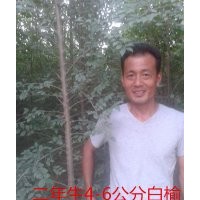 榆樹大王
