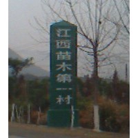 江西紫薇小苗比較多，杜英芽苗數量，香樟小苗基地，紅豆杉大小苗