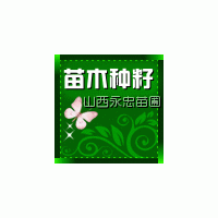 供應(yīng)山桃苗、山杏苗、杜梨苗、海棠苗、白皮松、側(cè)柏