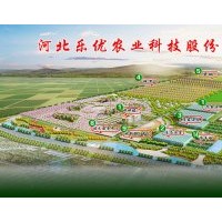 河北樂優供應無花果,海棠,碧桃,菊芋，雜交狼尾草等苗木