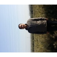 營(yíng)養(yǎng)杯油松14x17、16x16高5o一70公分,新疆楊胸徑1一2o公分,各種