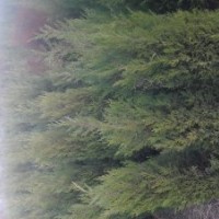 山西蜀儈供應