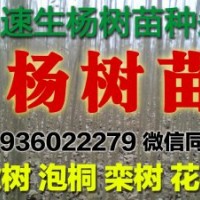 清地處理?xiàng)顦涿纾偕鷹顦涿绱罅抗?yīng)低價(jià)供應(yīng)