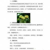 河北樂優農業大量供應無花果等苗木
