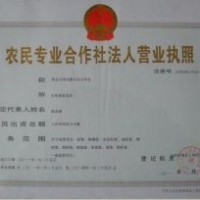 山桃胡 毛桃胡 桃樹種子價格