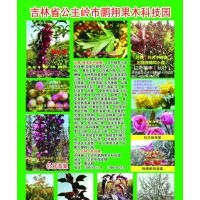 出售新品種彩葉樹，北美海棠，紅葉稠李，果樹苗，金葉榆