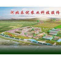 河北樂優農業大量供應海棠等苗木