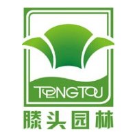 出售黃山欒樹、無(wú)患子、西府海棠、紅楓、青楓、廣玉蘭、四季桂