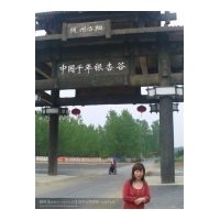 售銀杏樹——湖北省隨州市洛陽鎮