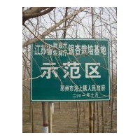 邳州達豐銀杏全國銀杏示范基地
