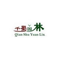 供應成都楓楊批發大喬工程苗木