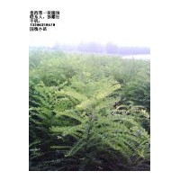 供國槐苗，椿樹苗，法桐苗，白蠟苗，北欒苗