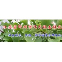 長期供應2-80公分銀杏實生樹-嫁接樹，法桐，石榴，桂花等綠化苗