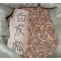 白皮松種子供應