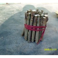 供108速生楊，千頭椿,臭椿,白臘,合歡,柳樹,毛白楊