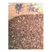 供應：杉樹種子、美麗異木棉種子、檀香種子、楠木種子、藍花楹種
