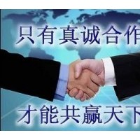 預售當年造林苗;濕地松、馬尾松、杉苗、江南榿木、楓香、木荷、