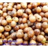供應(yīng)瑞木、女兒木、六角樹