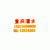 重慶常年供應各種喬木、灌木：紅葉石楠、金葉女貞、紅繼木、南天