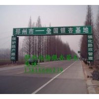 供應35-40公分銀杏樹
