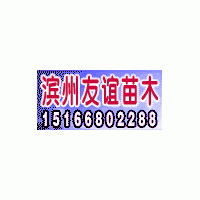 大量供應白蠟