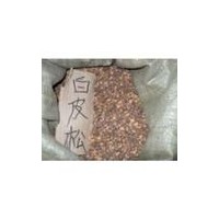 供應白皮松籽 油松籽 側柏籽 花椒籽 桃核 杏核