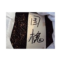 常年出售花卉苗木種子：紅豆杉種子，漆樹種子