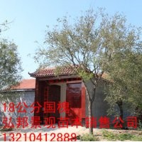 供應1-30公分國槐，白蠟, 垂柳, 各種小苗和一級樹