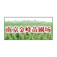 【南京金峰苗圃】★雪松基地雪松價格女貞廣玉蘭蜀檜等